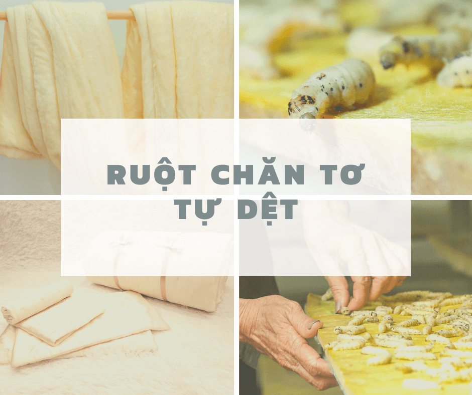  Ruột chăn tơ tằm ? Tất cả điều bạn cần biết về sự khác biệt này