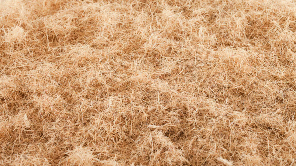 Banana fiber properties Softness to durability ECOSILKY