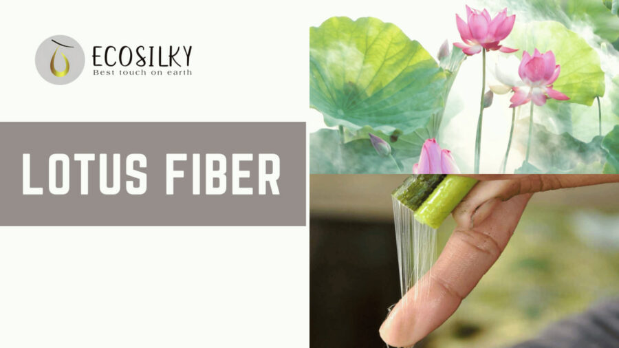 Banana fiber properties Softness to durability ECOSILKY