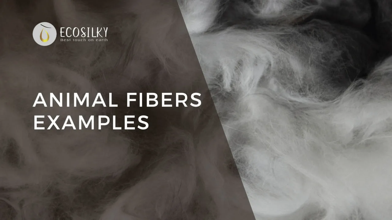 animal-fibers-examples-9-common-used-in-textile