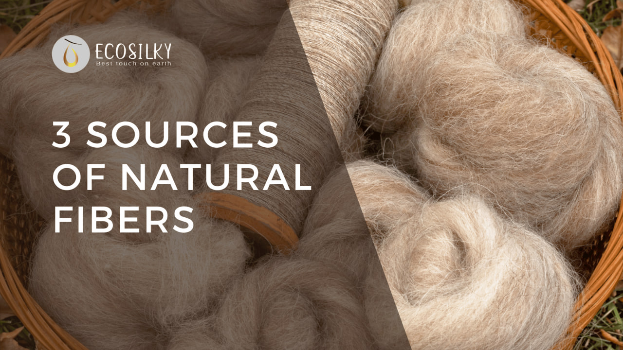 Discovering 3 Sources Of Natural Fibers